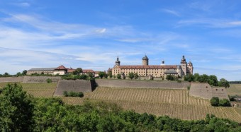 Die Festung Marienberg auf einem Weinberg in Würzburg